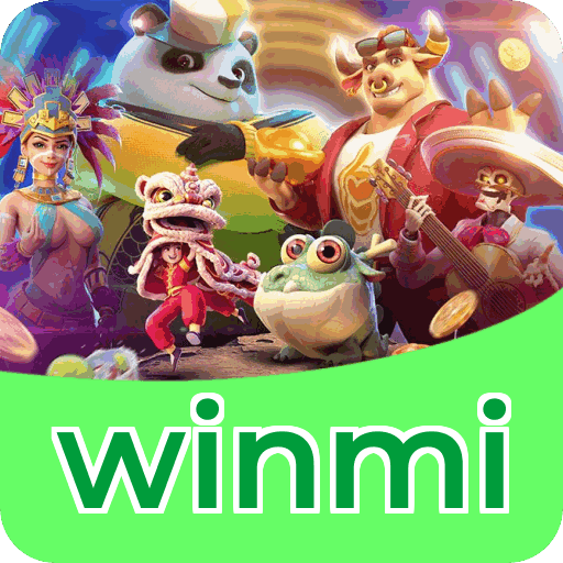 Interface winmi